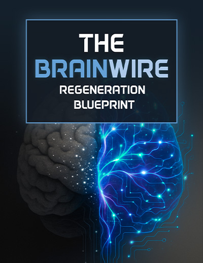 Cover of the mental clarity companion guide